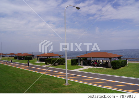 Yokosuka navy facility resting place 7879933