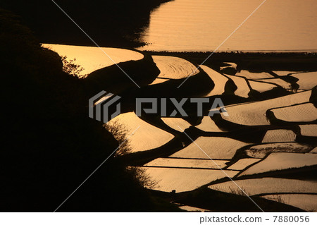 佐賀Hamanoura米大陽台的日落 7880056