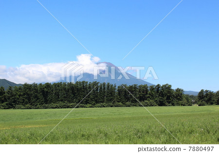 夏季岩手火山和岩手牧場 夏季岩手火山和岩手牧場 7880497
