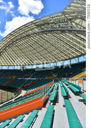 baseball Ground  7880516