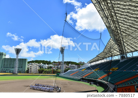 baseball Ground  7880517