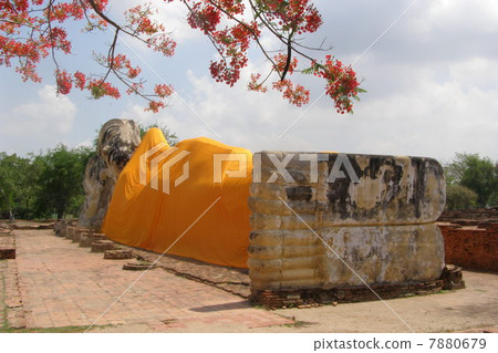 Sound asleep ZZZ 7880679