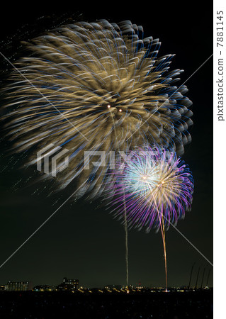 Fireworks Fireworks 7881145