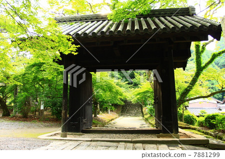 Akizuki Kuromon 7881299