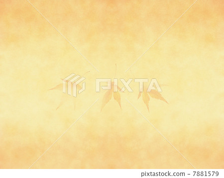 秋天 秋天 7881579