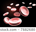 Erythrocyte Erythrocyte 7882680