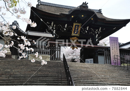 京都太田神社 7882844