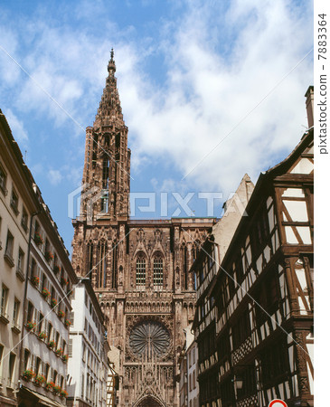 Strasbourg's Notre Dame Cathedral and the cityscape 7883364