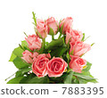 Romantic bunch of pink roses,  isolated on white background 7883395