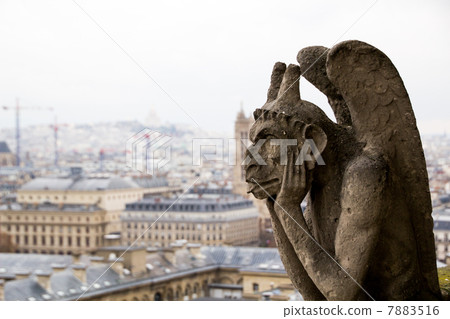 巴黎圣母院的石像鬼 巴黎圣母院的石像鬼 7883516