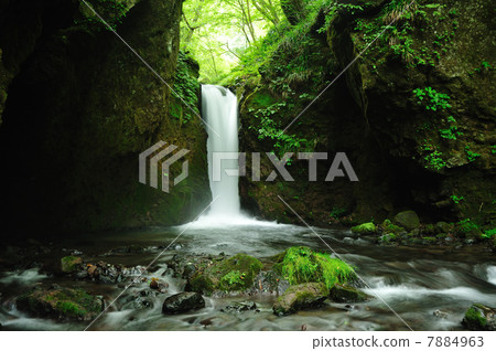 Ryugaku no Waterfall 7884963