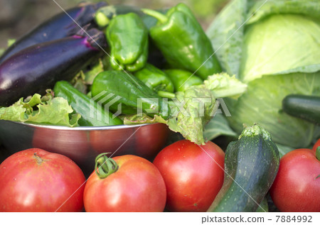 收穫蔬菜 7884992