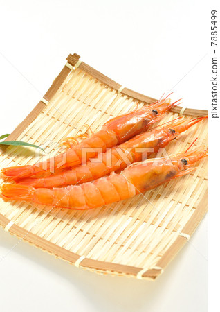 Red Shrimp Red Shrimp 7885499