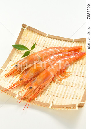 Red Shrimp 7885500