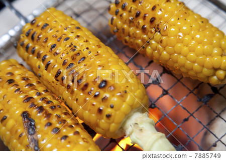 Grilled corn 7885749