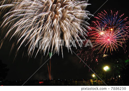 跳舞在夜空的花 7886230