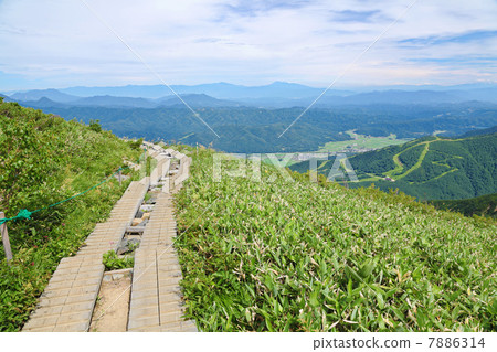 Happoine Nature Research Path 7886314