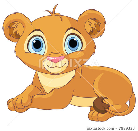 Resting little lion cub Resting little lion cub 7889323