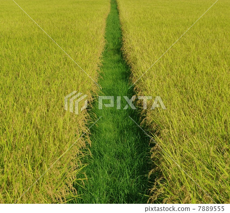 秋天的秋天休息 秋天的秋天休息 7889555