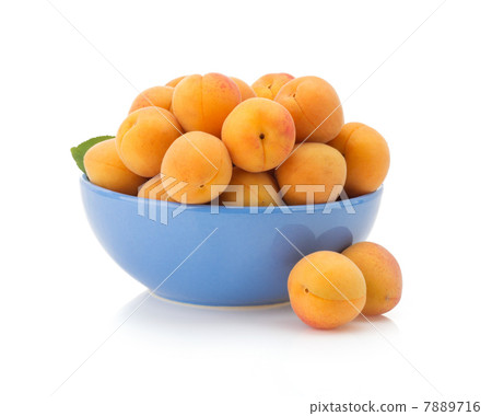 apricot on white background 7889716