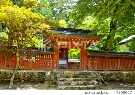 神護寺 7890067