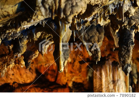 石灰岩洞 7890182