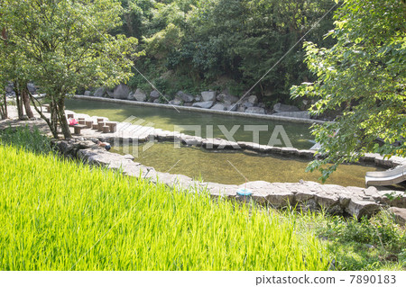 Tsugamikawa河池 7890183