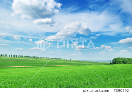 field and sky 7890292