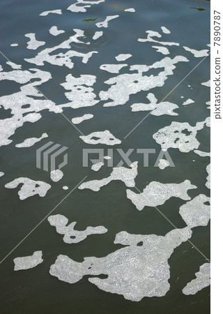 Foam floating on the river 7890787
