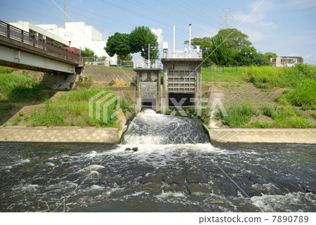 Release of Sakae Second Water Reclamation Center to Kashiwa River 7890789
