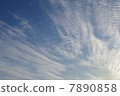 初夏的天空 7890858