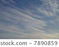 初夏的天空 7890859