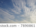 初夏的天空 7890861