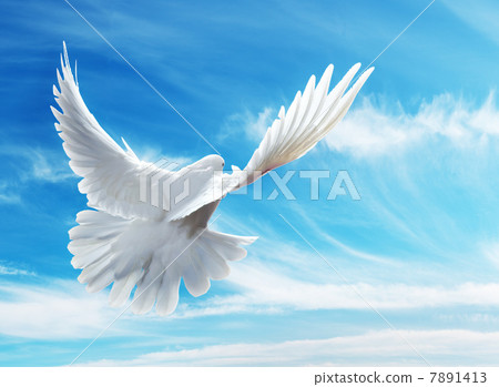 white clouds in the blue sky 7891413