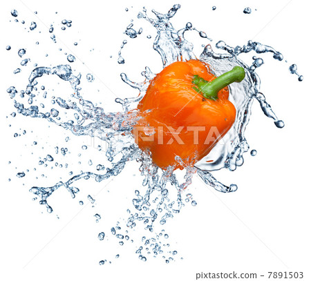 Red pepper isolated on white 7891503
