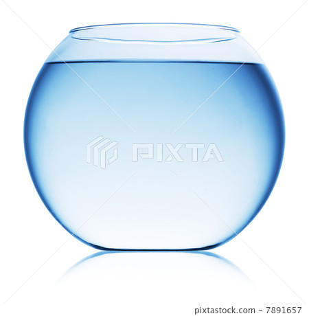 Close up view of fish bowl isolated Close up view of fish bowl isolated 7891657