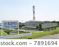 音根 7891694