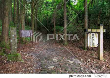 箱根老路的鵝卵石 7892468