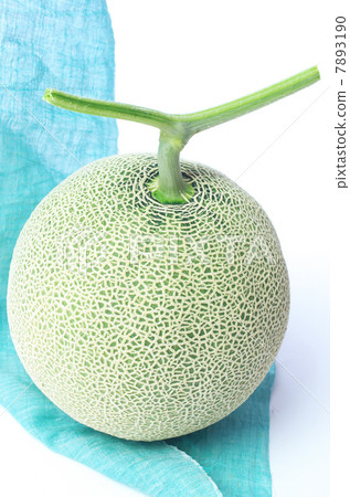 Mask melon in summer gift 7893190