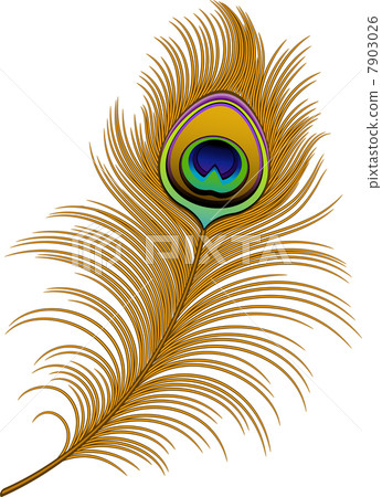 Peacock Feather 7903026