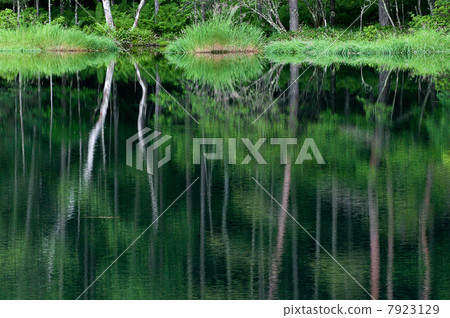 Shrine pond Shrine pond 7923129