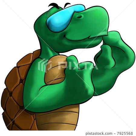 the turtle the turtle 7925568