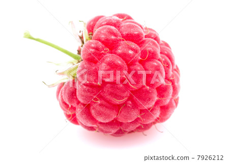 Close up of ripe raspberry 7926212