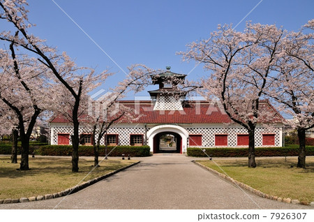 櫻花老新潟海關辦公樓 櫻花老新潟海關辦公樓 7926307