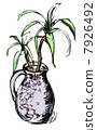 室內植物投手 7926492