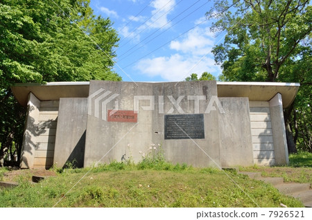 在Kaso Risa殼的北貝殼的貝類的橫截面 7926521