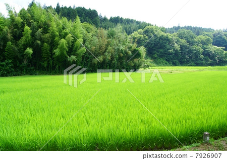 岐阜縣Ena市山岡縣祗園市山岡地區 岐阜縣Ena市山岡縣祗園市山岡地區 7926907