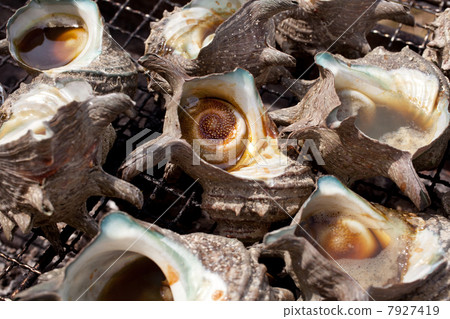 紗江 紗江 7927419