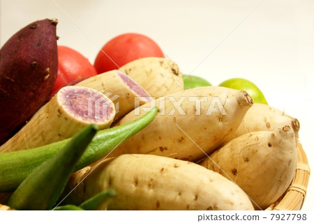 Potato Potato 7927798