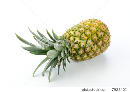 pineapple  7928401